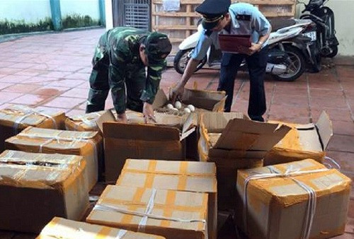 Quảng Ninh: Tiêu hủy 1.440 quả trứng ngỗng nhập lậu