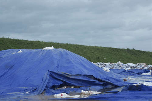 Hà Nội: Tăng cường xử lý tình trạng đổ, chôn rác thải trong hành lang bảo vệ đê điều