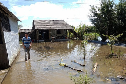 Cà Mau: Người dân huyện U Minh sống chung với ngập lụt