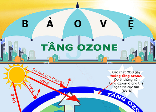Inforgraphic – Bảo vệ tầng ozon