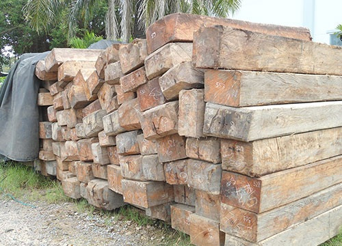 Bắt giữ hàng trăm khối gỗ vận chuyển trái phép