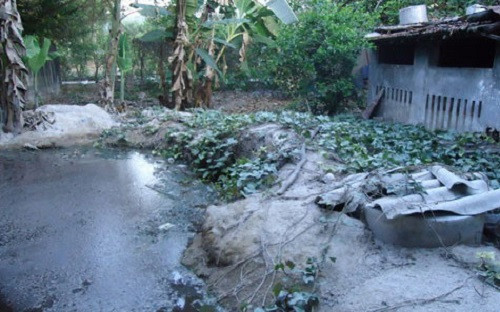 Ninh Thuận: Quyết xử lý đóng cửa các trại nuôi heo do gây ô nhiễm