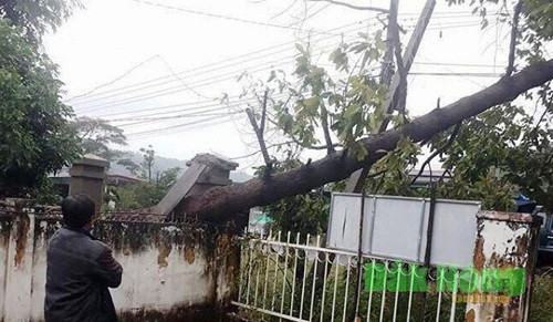 Đắk Nông: Ảnh hưởng của bão số 12 làm 38 căn nhà bị tốc mái, 11 phòng học bị hư hỏng và 150 ha cây trồng bị thiệt hại