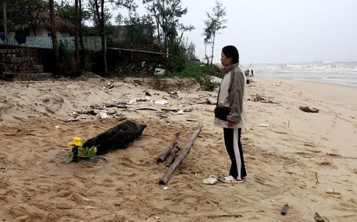 Quảng Bình: Mai táng cá heo nặng 70kg bị chết dạt vào bờ