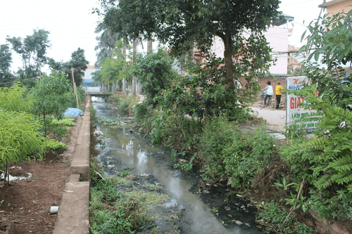 Mương thoát nước ô nhiễm, cả thôn “lĩnh đủ” mùi hôi thối