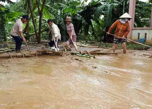 Quảng Nam: Tập trung xử lý môi trường sau bão lũ