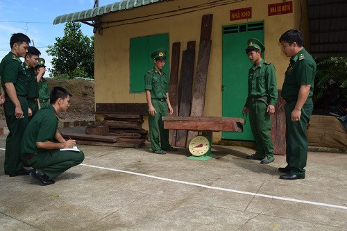 Tây Ninh: Bắt giữ số gỗ lậu trị giá gần 100 triệu đồng