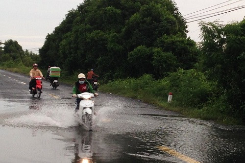 Ngọc Hiển (Cà Mau): Nhiều tuyến đường bị ngập nước do triều cường