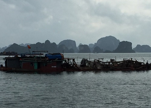Quảng Ninh: Bắt giữ 5 tàu vận chuyển cát, phụ gia xi măng trái phép