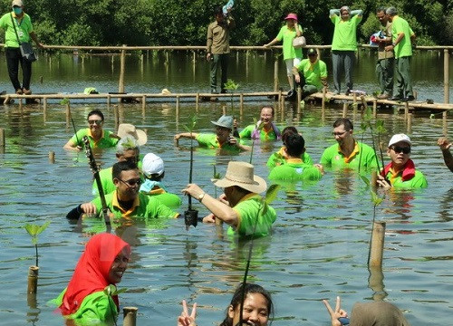 Ngày Trồng rừng ngập mặn ASEAN tại công viên Angke Kapuk