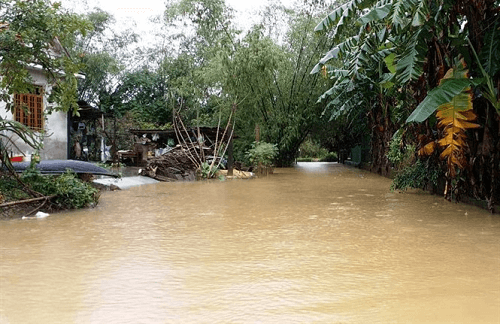 Miền Bắc rét đậm, các tỉnh từ Quảng Trị đến Quảng Nam mưa lớn đề phòng ngập úng
