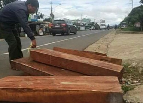 Gia Lai: Tài xế bỏ lại gỗ quý bên đường để chạy trốn công an