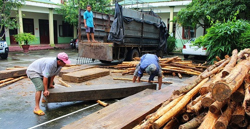 Quảng Nam: Xe tải chở 17 phách gỗ lậu ngụy trang bằng gỗ keo