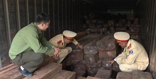 Ôtô container chở gần 20m3 gỗ lậu bị bắt giữ
