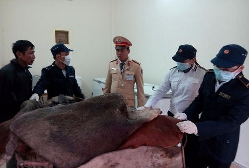 Nghệ An: Bắt giữ 400 kg da trâu bò bốc mùi hôi thối
