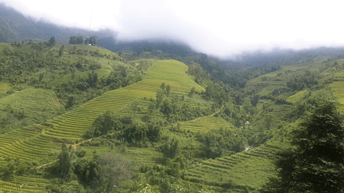 Lâm Hà (Lâm Đồng): Xử lý 73 vụ vi phạm Luật Bảo vệ và Phát triển rừng