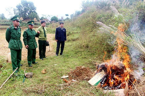 Quảng Ninh tiêu hủy 150kg chả mực viên nhập lậu