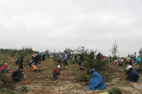 Quảng Nam: Trồng hơn 2.000 cây xanh tại lễ ra quân trồng cây gây rừng