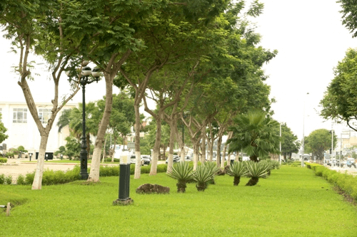 Triển khai mọi biện pháp xây dựng Tp. Hồ Chí Minh Xanh – Sạch – Bền vững