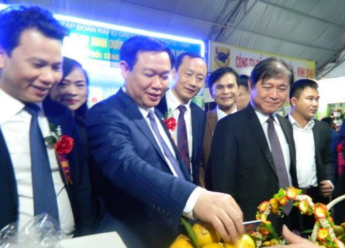 Hà Tĩnh: Tổ chức Lễ hội Cam và các sản phẩm Nông nghiệp lần thứ nhất năm 2017