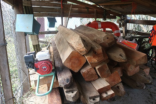 Tuyên Hóa (Quảng Bình): Phát hiện và xử lý 108 vụ vi phạm luật bảo vệ và phát triển rừng