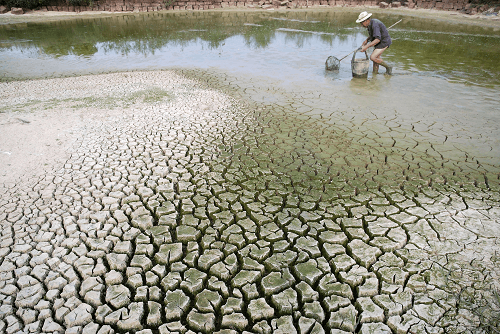 Triển khai nghị quyết về phát triển bền vững Đồng bằng sông Cửu Long thích ứng với Biến đổi khí hậu