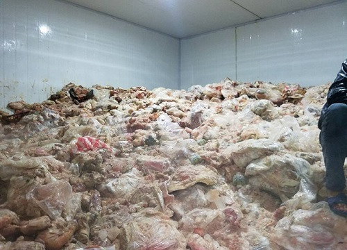Gần 15 tấn phế phẩm động vật hôi thối chờ được tiêu thụ