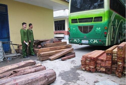 Xe khách biển số Lào chở trên 10 m3 gỗ quý hiếm