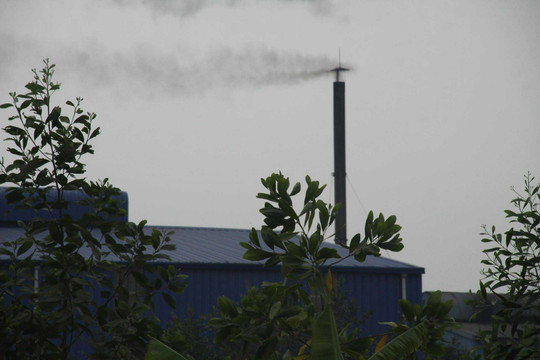Bình Giang (Hải Dương): Người dân khốn khổ vì Công ty môi trường xanh Minh Phúc xả thải gây ô nhiễm môi trường