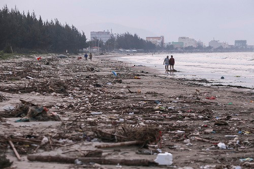 Gần 1 tấn rác thải bủa vây bãi biển Đà Nẵng