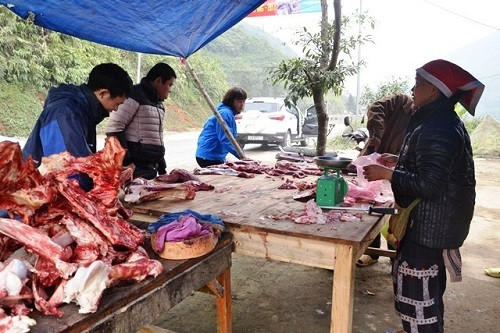 Lào Cai: Rét hại kéo dài làm chết gần 80 con trâu, bò