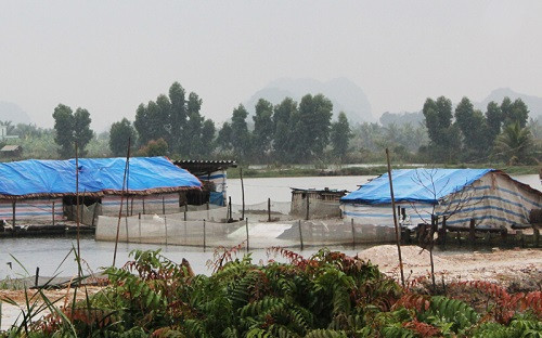 Ngành Nông nghiệp Quảng Ninh chủ động ứng phó với rét đậm, rét hại