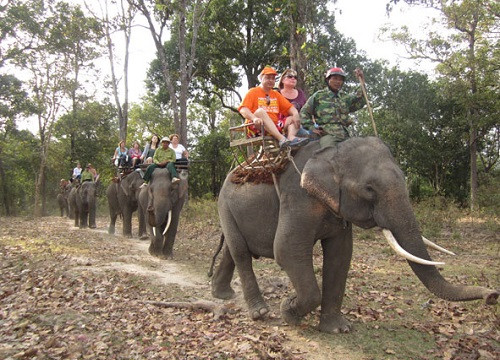 Đắk Lắk đánh thức tiềm năng du lịch Vườn Quốc gia Yok Đôn