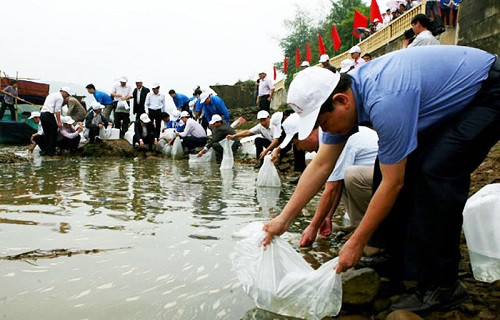 Quảng Ninh chuyển biến mạnh mẽ trong bảo vệ nguồn lợi thủy sản