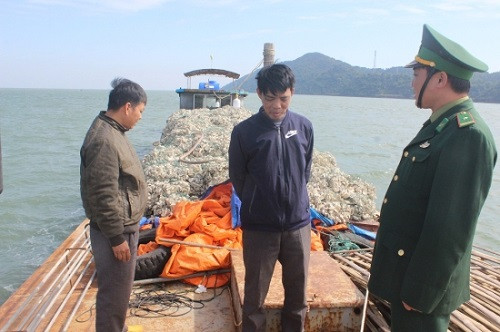 Quảng Ninh bắt giữ 15 tấn vỏ hàu nhập lậu