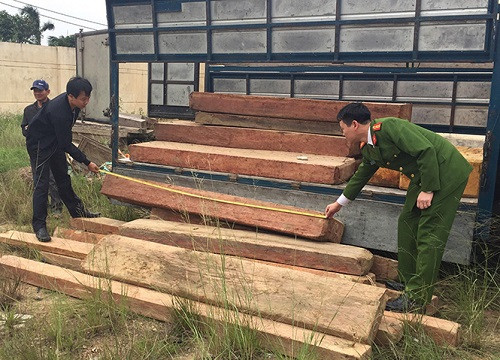 Quảng Bình bắt giữ xe ôtô vận chuyển gỗ lậu