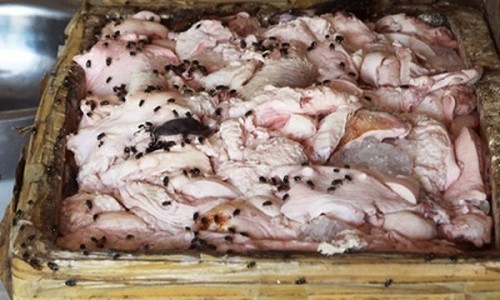 (Quy Nhơn) Bình Định phát hiện 900kg thịt heo bẩn bên chợ Đầm