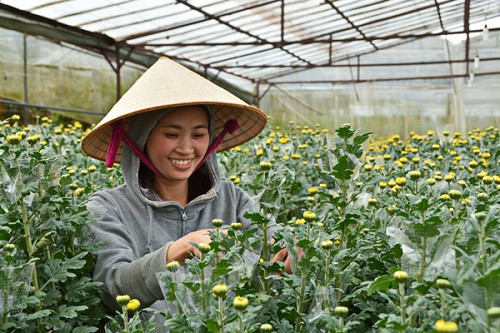 Làng hoa Đa Thiện (Đà Lạt) được công nhận là làng hoa truyền thống của tỉnh Lâm Đồng