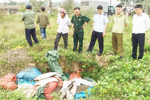 Hải quan Quảng Ninh bắt giữ xe chở gần một tấn thực phẩm nhập lậu