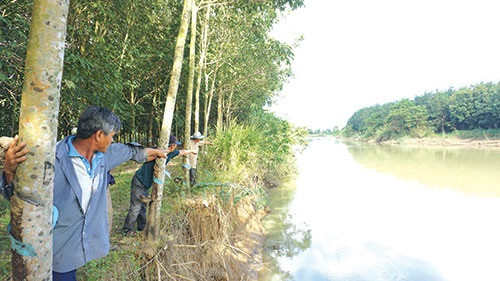 Đức Linh (Bình Thuận) người dân lo lắng trước tình trạng bờ sông La Ngà bị sạt lở do khai thác cát