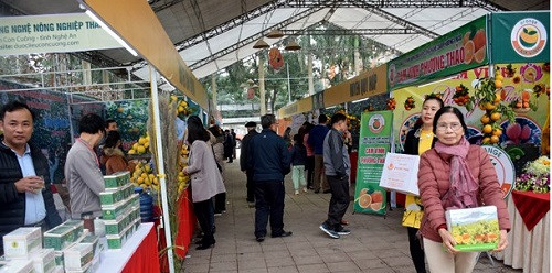 Nghệ An tiêu thụ gần 60 tấn cam Hội chợ cam Vinh – Nghệ An 2017