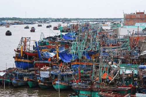 Hơn 700 tàu thuyền của tỉnh Bình Thuận đang hoạt động trong vùng nguy hiểm