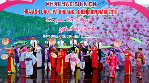 Rực rỡ sắc hoa tại sự kiện Hoa Anh Đào – Pá Khoang – Điện Biên