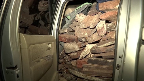 Quảng Trị bắt giữ xe bán tải chở 2 tấn gỗ trắc lậu