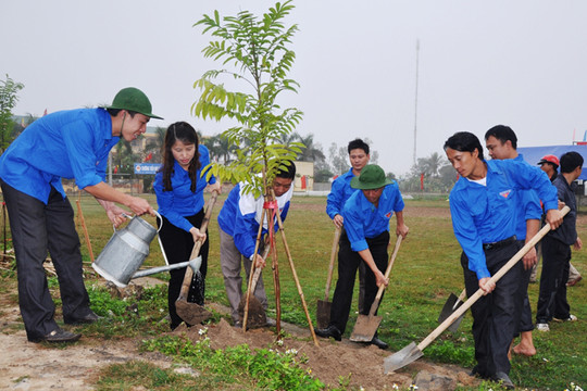 Bắc Ninh: Triển khai kế hoạch Tổ chức Tết trồng cây Xuân Mậu Tuất