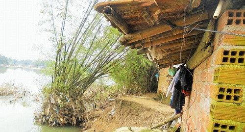 Bình Định: Bờ sông sạt lở uy hiếp nhiều hộ dân