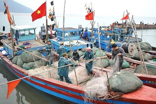 Quảng Trị: Hơn 210 tỷ đồng vốn tín dụng khắc phục sự cố môi trường biển