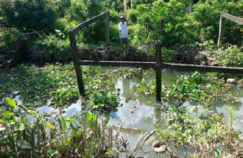 Long Hồ (Vĩnh Long) người dân xã Đồng Phú mong mỏi sớm có nước sạch
