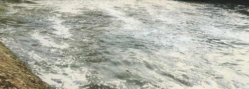 Cẩm Giàng (Hải Dương): Khắc phục tình trạng nước đổ ải bị ô nhiễm