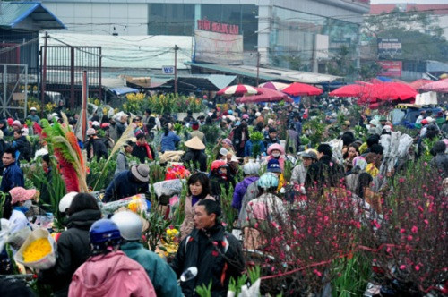 Hà Nội tổ chức 63 chợ hoa xuân chào Tết Mậu Tuất 2018